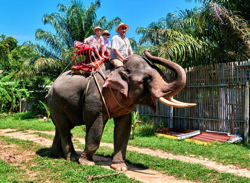 سياحة تايلاند للعوائل